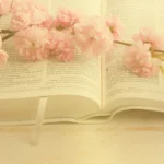 10 DICAS DE OURO PARA EMPREENDEDORAS – “O passo a passo que Você nunca Imaginou!”