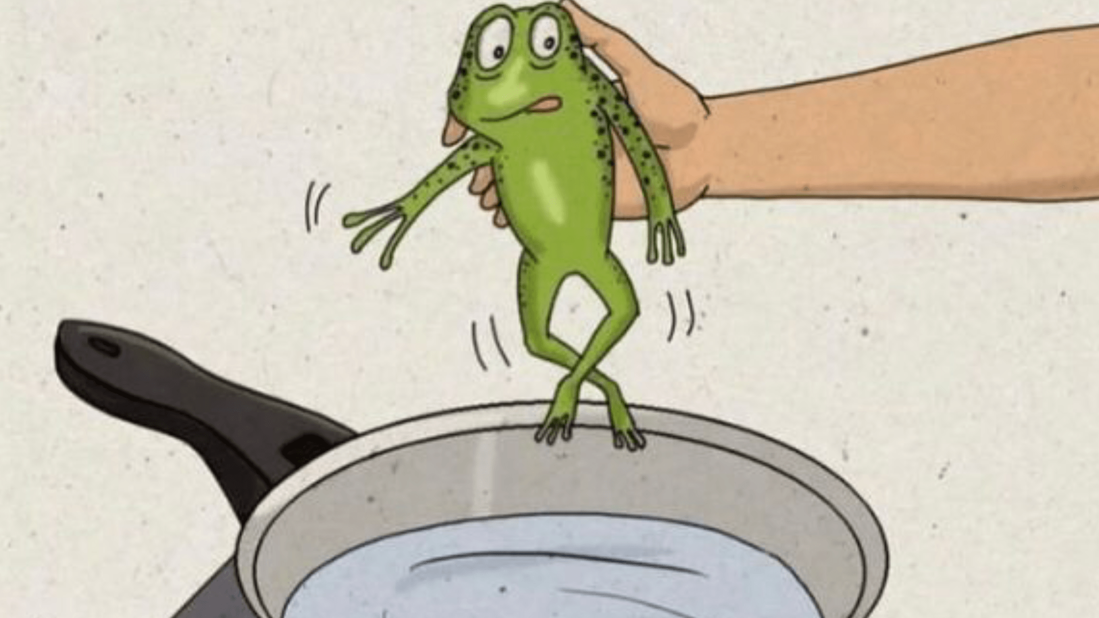 SAPO MORNO🐸 Síndrome do Sapo Fervido: Como Não Ser Cozido pelas Dívidas! 🌡SAPO MORNO